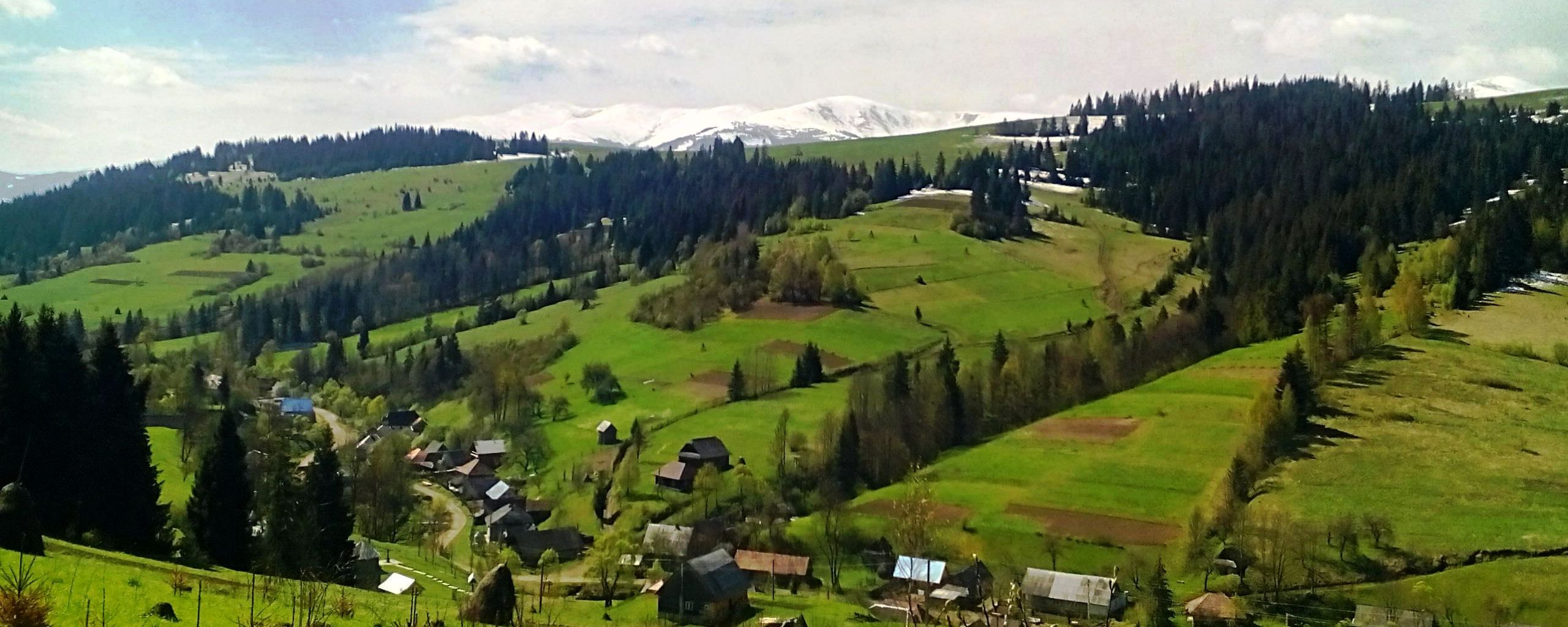 The-view1